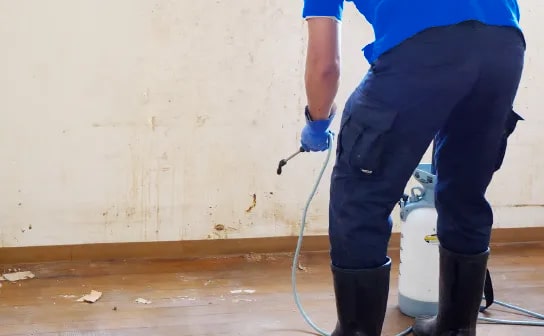 ゴミ屋敷・汚部屋の強い悪臭を除去します